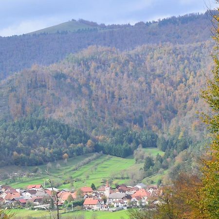 Hisa Haasberg Villa Planina  Luaran gambar