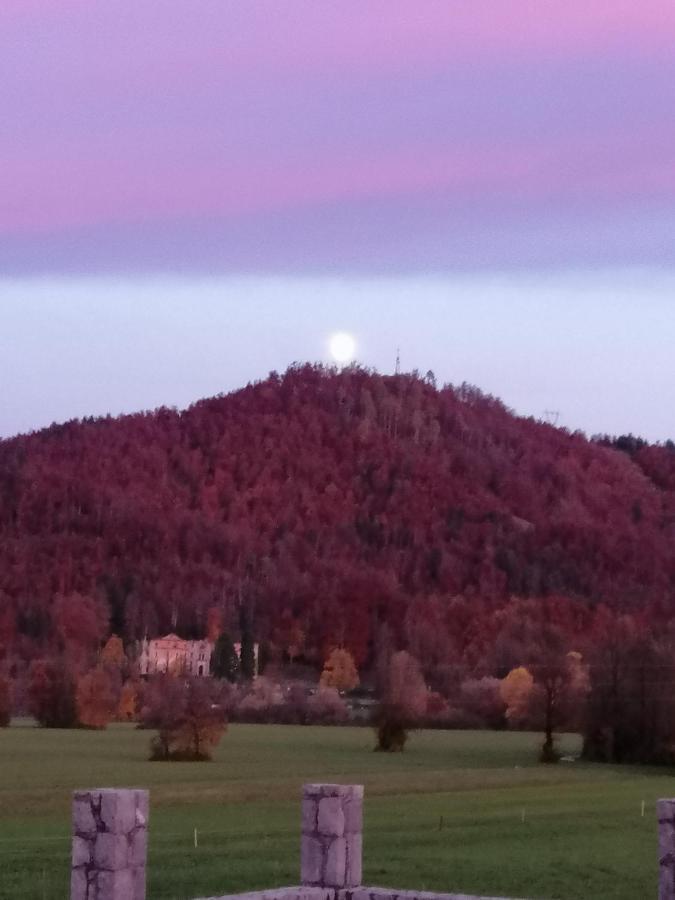 Hisa Haasberg Villa Planina  Luaran gambar
