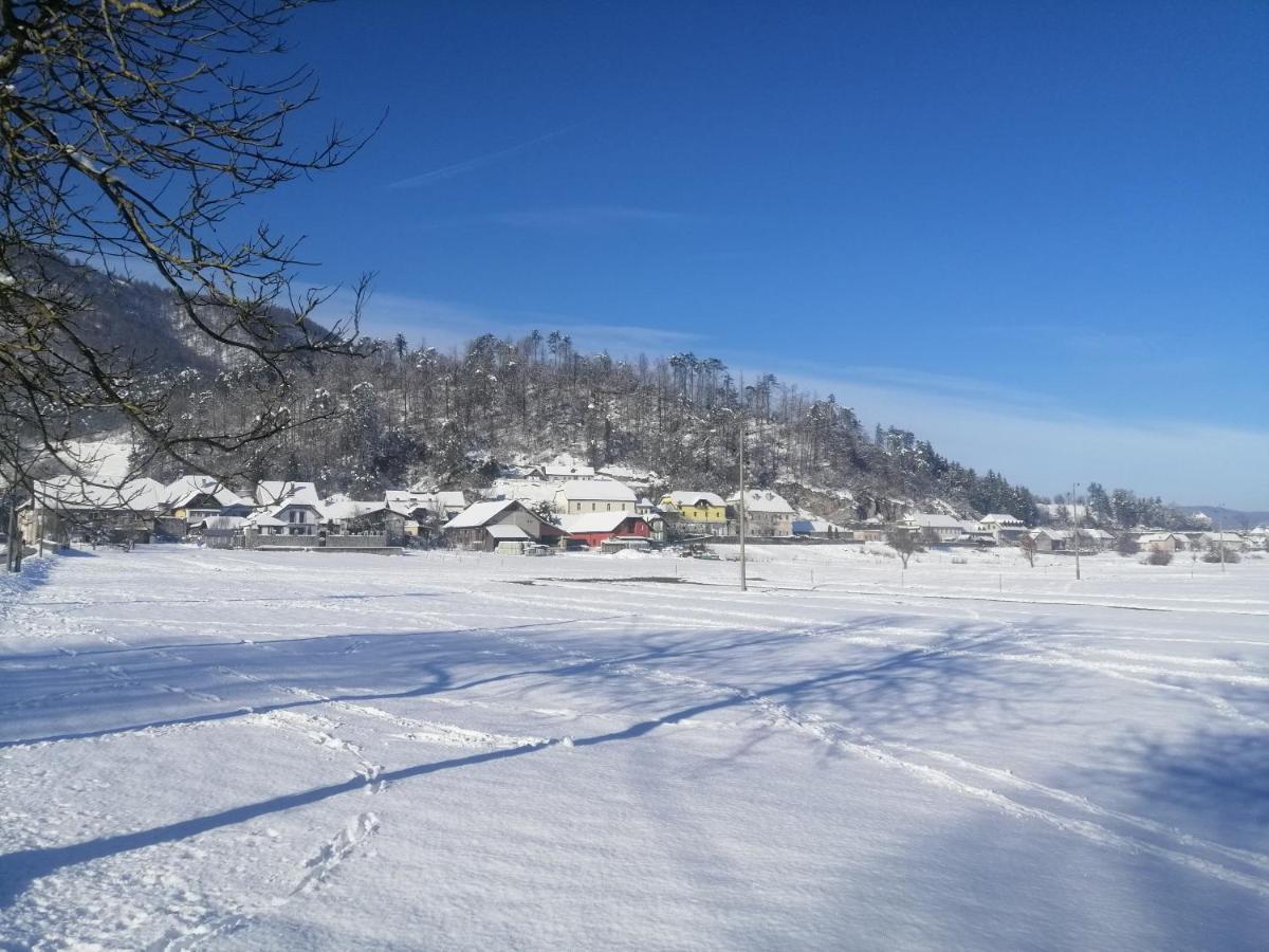 Hisa Haasberg Villa Planina  Luaran gambar