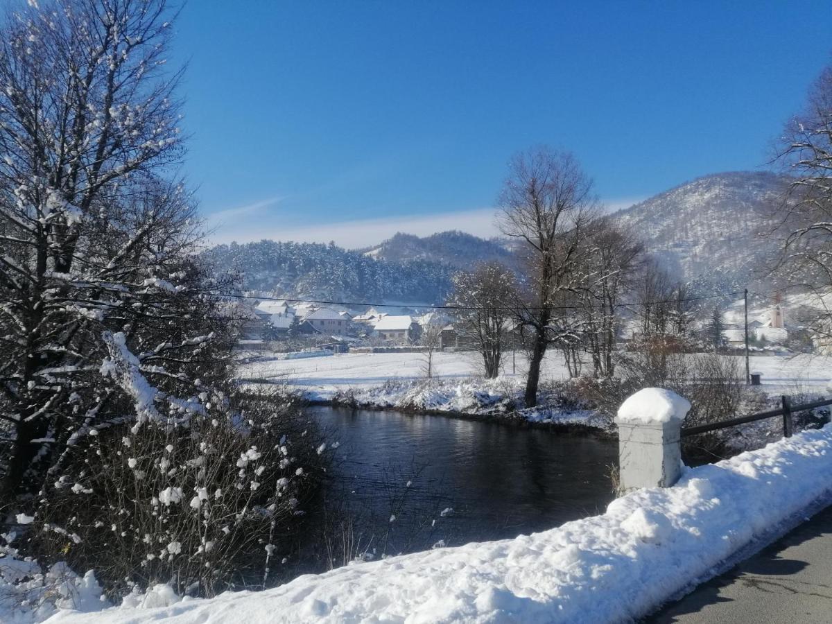 Hisa Haasberg Villa Planina  Luaran gambar