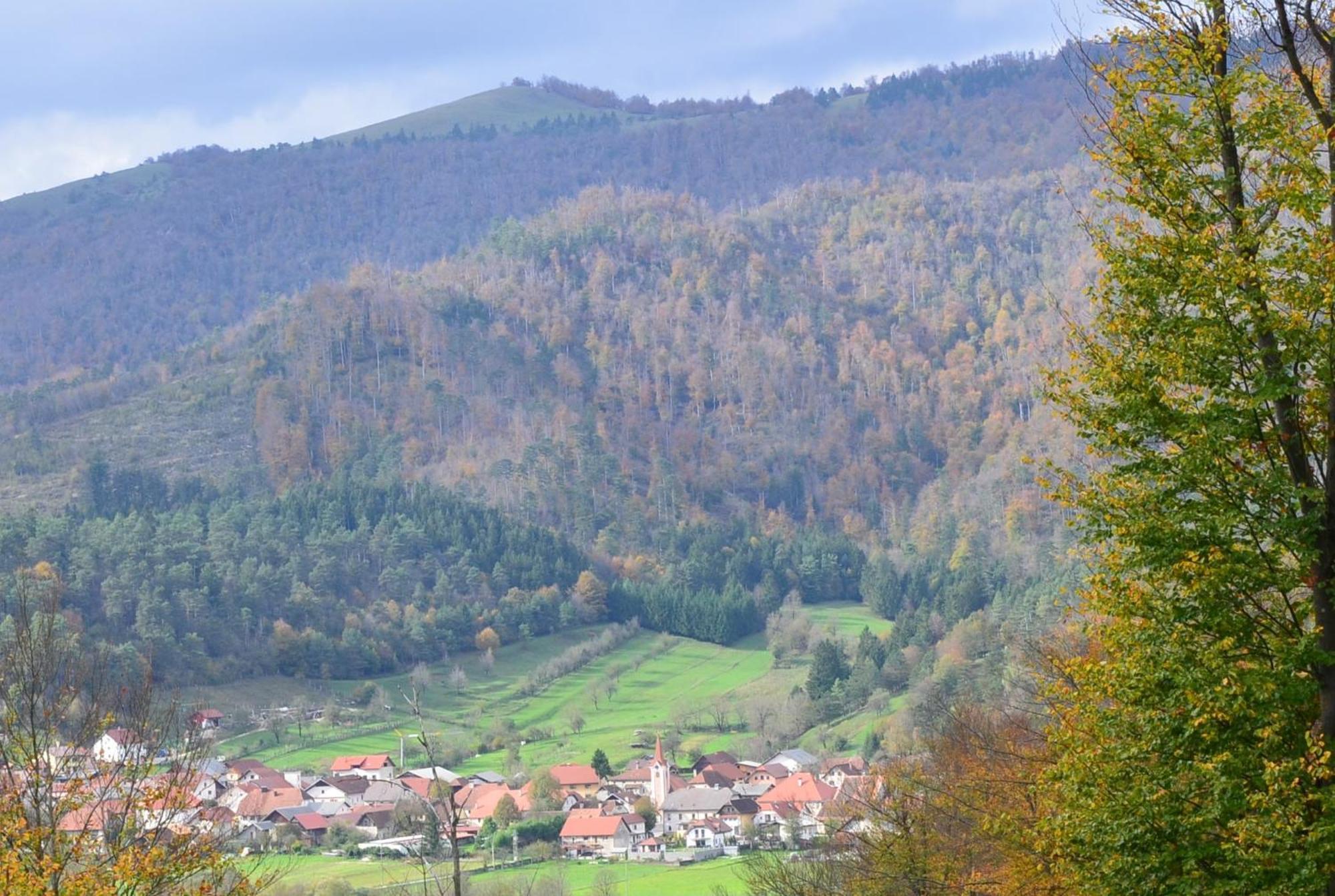 Hisa Haasberg Villa Planina  Luaran gambar
